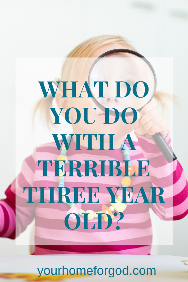 Your Home For God, what-do-you-do-with-a-terrible-three-year-old