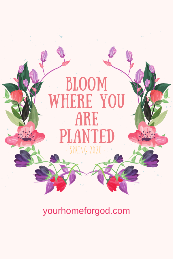 Your Home For God, bloom-where-you-are-planted