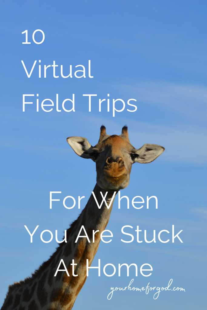 10 Virtual Field Trips For When You Are Stuck At Home