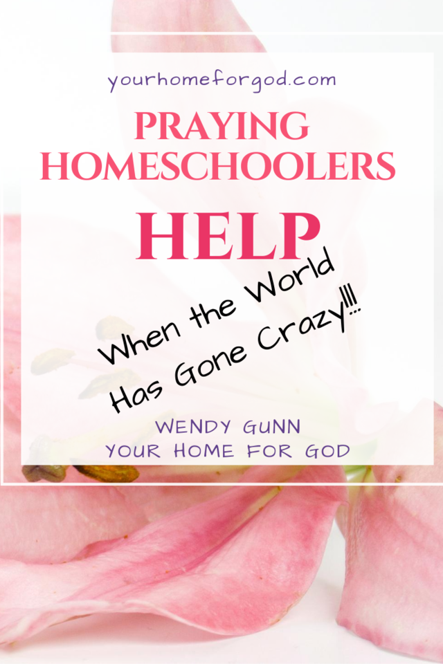 Praying Homeschoolers Help When the World Has Gone Crazy | Your Home For God
