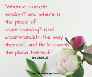 Whence cometh wisdom and where is the place of understanding God underrstandeth and he knoweth